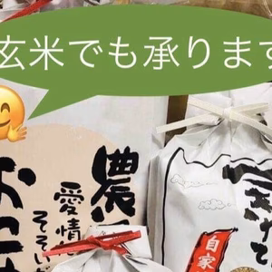 新米‼️【令和6年産】ひとめぼれ精米