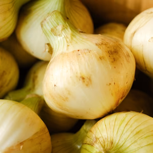 【早割り】【予約商品】淡路島　新玉ねぎ　スイートオニオン