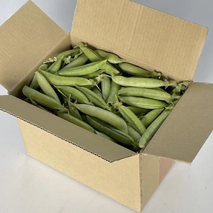 碓井豌豆　1.7kg入り　60サイズで常温で発送　ウスイエンドウ　うすいえんどう