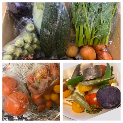 みんなの投稿の画像