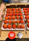 朝採れ当日発送！30玉！夏秋いちご　青森県産　すずあかね　苺　夏