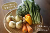 【第2週お届け】季節を味わう　旬のお野菜定期便