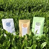送料無料　白川茶　品種茶で飲み比べ　自然環境が厳しいけど、心には優しいです