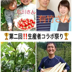 3/28 21時～【生産者コラボ祭り特別価格】シャキシャキ長芋3㎏ カット済み
