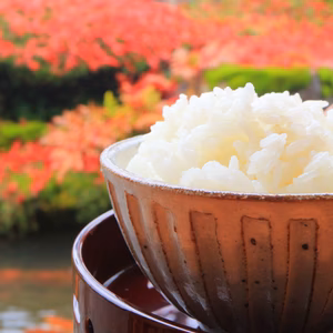 黒澤のササニシキ　定期便