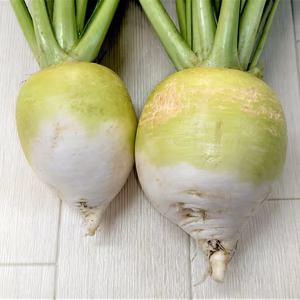 青首蕪3～4個セット