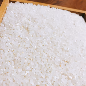 船通山の麓にて栽培した仁多米