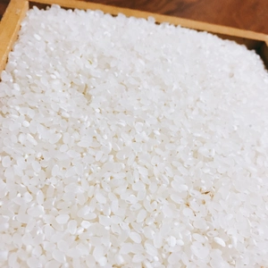 船通山の麓にて栽培した仁多米、現在在庫が2等米になります。