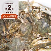 生出荷！カニ汁用！石蟹小サイズ２kg～8kg イシガニ（ワタリガニ科)
