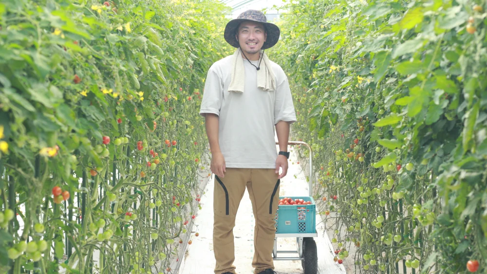 【濃厚薄皮】特栽認証 ミニトマト 1.4kg 青森県産 プチトマト