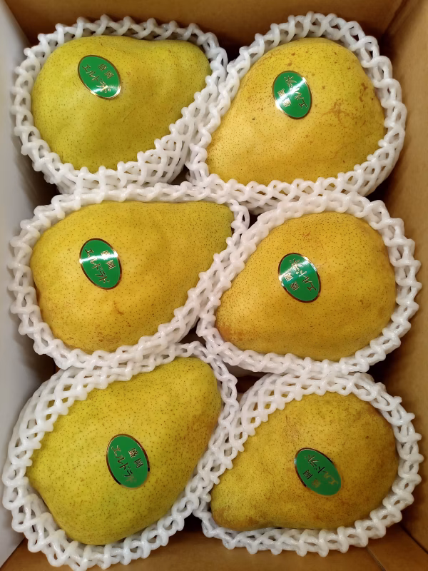 珍しい洋梨　エル・ドラド 〜ほんのりメロンの風味！？〜