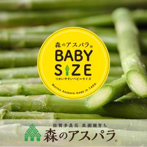 【森のアスパラ】便利で大好評！そのまま使えるベビーサイズ（S~M）