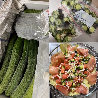 みんなの投稿の画像