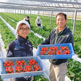 橋本大地 | はしもと園芸