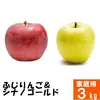 ふじりんご&シナノゴールド【家庭用3kg】食べ比べ☆10月下旬頃出荷予定