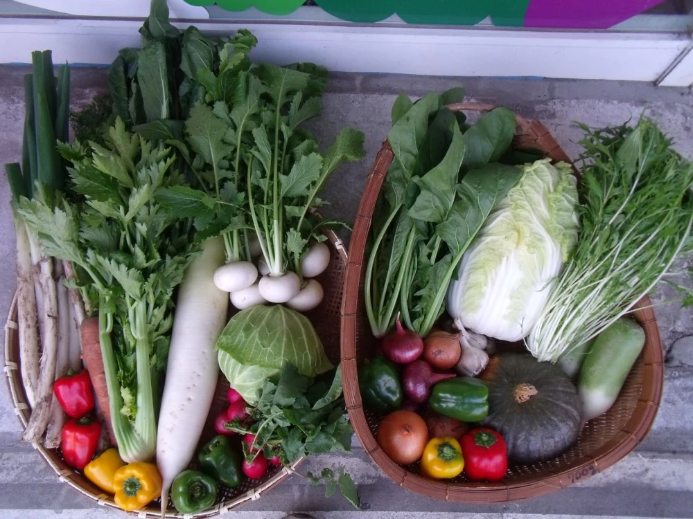 「天空の卵」新鮮野菜を食べて育った放し飼い自然卵 20玉【18玉+割れ保障2玉】