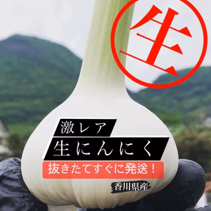 幻✨香川県産✨生にんにく