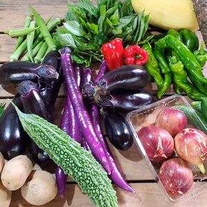 季節の野菜8~10品目を詰め合わせてお届けいたします