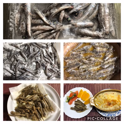 みんなの投稿の画像