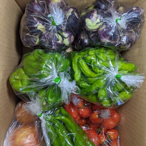 夏野菜の詰め合わせ