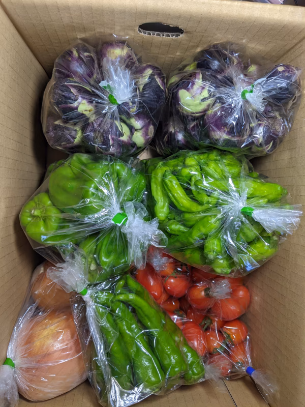 夏野菜の詰め合わせ