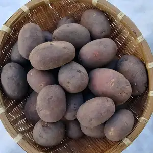 タワラムラサキ　6か月間貯蔵！今が最高潮の熟成自然栽培ジャガイモ