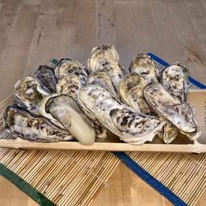 海男の殻付き牡蠣　12～15個入り