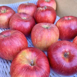 信州産『シナノスイート【自家用】』キズ・サビ・大小混合