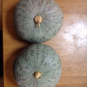 人気栗カボチャ雪化粧大玉2個