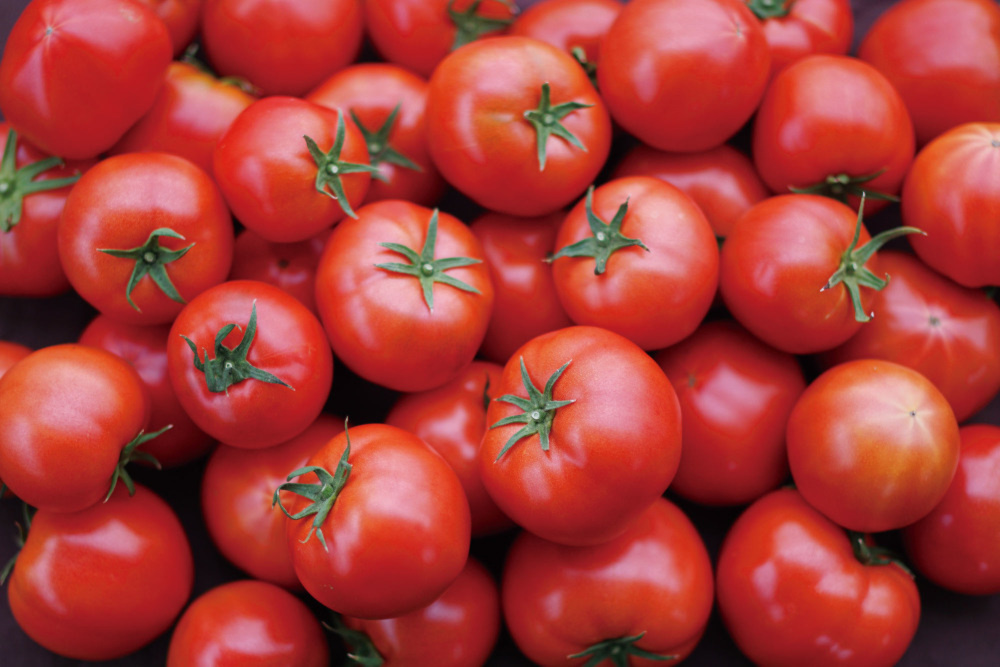 お試し 大玉なのにこの濃厚さ 完熟もぎたて ひばりトマト 農家漁師から産地直送の通販 ポケットマルシェ