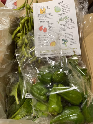 みんなの投稿の画像