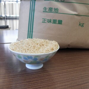 令和2年産 減農薬 コシヒカリ 玄米 2㎏/5㎏/9㎏