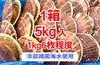 日本魚類の２年貝【５kg】ヘラ付
