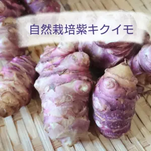 【自然栽培紫キクイモ】700g