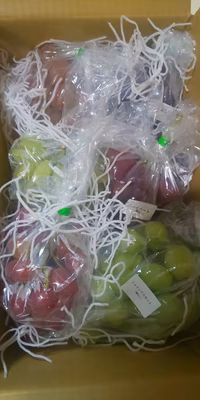 みんなの投稿の画像