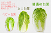 おまかせ野菜セット5キロ箱(クール便)