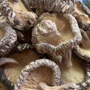 乾椎茸75グラム