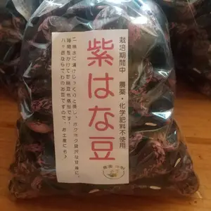 ホクホク～花豆( ´∀`)/~~高地・冷涼地でしか栽培出来ない珍しい豆です！