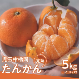 光センサー選果機で厳選！奄美完熟たんかん5kg