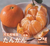 光センサー選果機で厳選！奄美完熟たんかん5kg