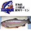【数量限定】北海道上川町産、銀河サーモン【フィレ冷凍】
