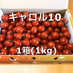「約1ヶ月しか食べる事のできない！！」平田農園のミニトマト(キャロル10)