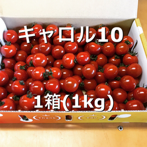 「約1ヶ月しか食べる事のできない！！」平田農園のミニトマト(キャロル10)