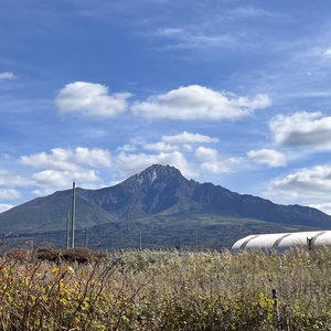 ハルナ様専用ページ