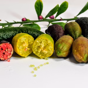 八幡浜キャビアライム精品50g