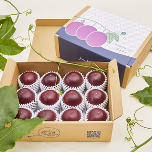 【農薬不使用】東京エコ認証パッションフルーツLL大玉12個