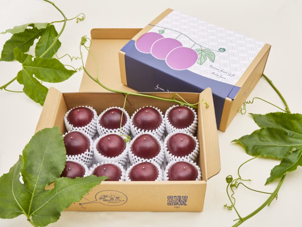 【農薬不使用】東京パッションフルーツL玉以上12個×２箱