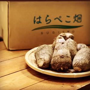 年末予約便 里芋【とろりん】4.5kg 土付き 【野菜ソムリエサミット受賞】