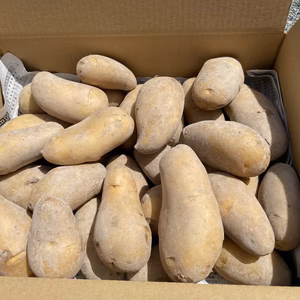 じゃがいも〇メークイン3Kg〇