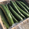 【パリパリっ新鮮！】-13-15本-めおとやさい【朝採りキュウリ】